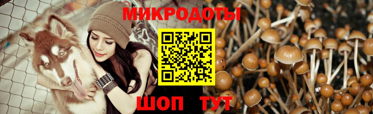 Галлюциногенные грибы мицелий Петропавловск-Камчатский